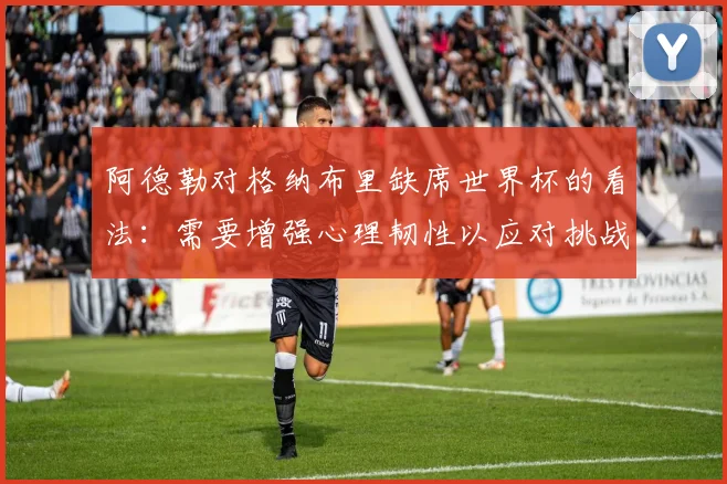 阿德勒对格纳布里缺席世界杯的看法：需要增强心理韧性以应对挑战